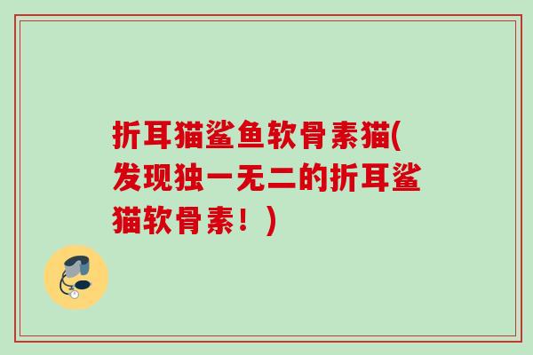 折耳猫鲨鱼软骨素猫(发现独一无二的折耳鲨猫软骨素！)