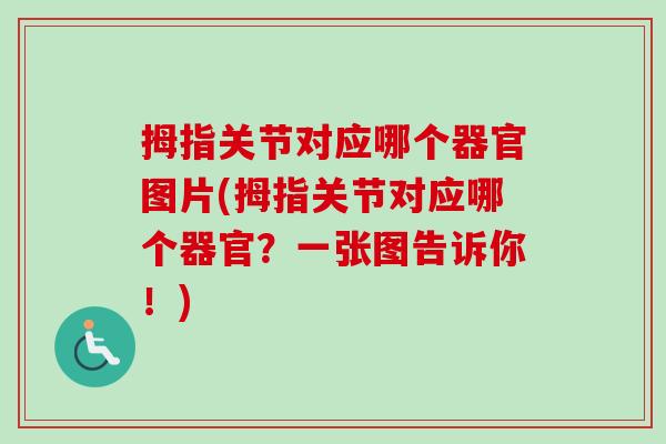 拇指关节对应哪个器官图片(拇指关节对应哪个器官？一张图告诉你！)