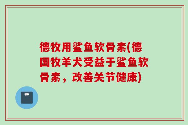 德牧用鲨鱼软骨素(德国牧羊犬受益于鲨鱼软骨素，改善关节健康)
