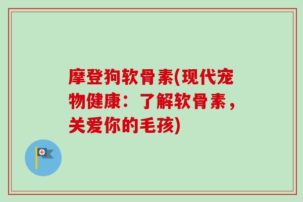 摩登狗软骨素(现代宠物健康：了解软骨素，关爱你的毛孩)