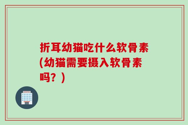 折耳幼猫吃什么软骨素(幼猫需要摄入软骨素吗？)