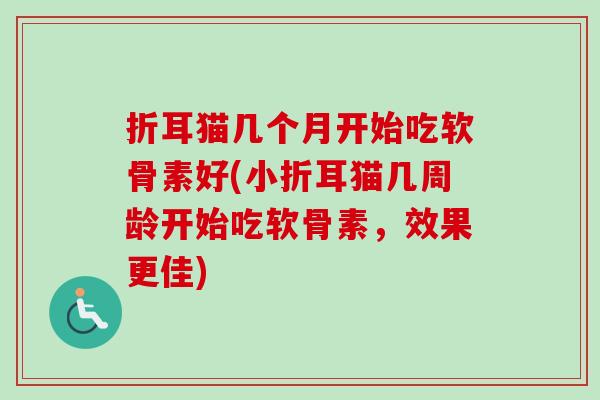 折耳猫几个月开始吃软骨素好(小折耳猫几周龄开始吃软骨素，效果更佳)