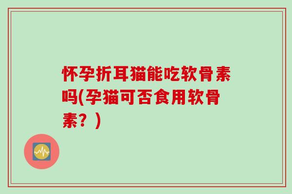 怀孕折耳猫能吃软骨素吗(孕猫可否食用软骨素？)