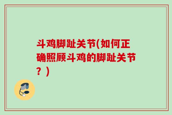 斗鸡脚趾关节(如何正确照顾斗鸡的脚趾关节？)