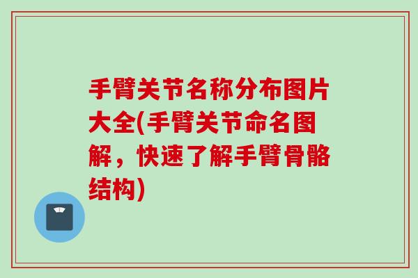 手臂关节名称分布图片大全(手臂关节命名图解，快速了解手臂骨骼结构)