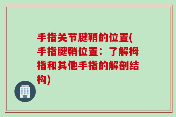 手指关节腱鞘的位置(手指腱鞘位置：了解拇指和其他手指的解剖结构)