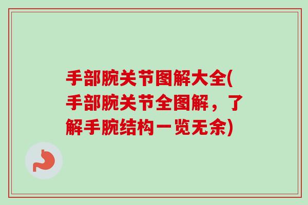 手部腕关节图解大全(手部腕关节全图解，了解手腕结构一览无余)