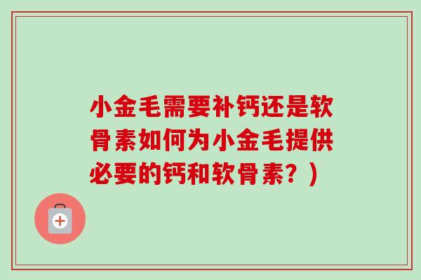 小金毛需要补钙还是软骨素如何为小金毛提供必要的钙和软骨素?) 小金毛需要补钙还是软骨素如何为小金毛提供必要的钙和软骨素?)