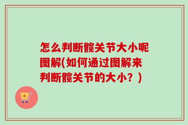 怎么判断髋关节大小呢图解(如何通过图解来判断髋关节的大小？)