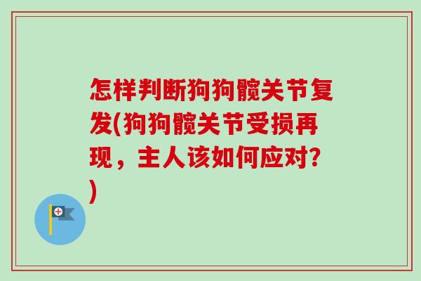 怎样判断狗狗髋关节复发(狗狗髋关节受损再现，主人该如何应对？)