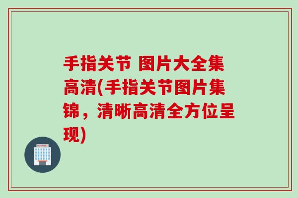 手指关节 图片大全集高清(手指关节图片集锦，清晰高清全方位呈现)