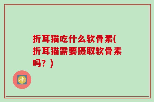 折耳猫吃什么软骨素(折耳猫需要摄取软骨素吗？)
