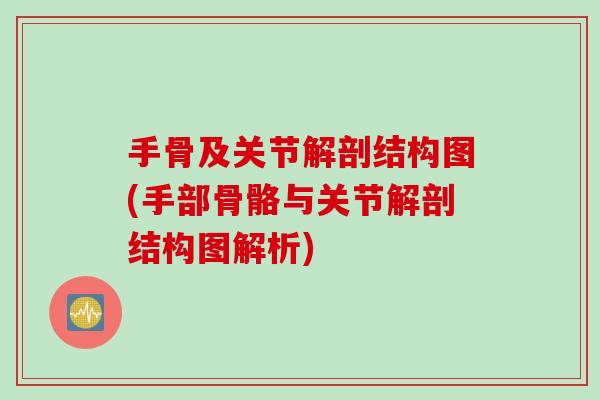 手骨及关节解剖结构图(手部骨骼与关节解剖结构图解析)
