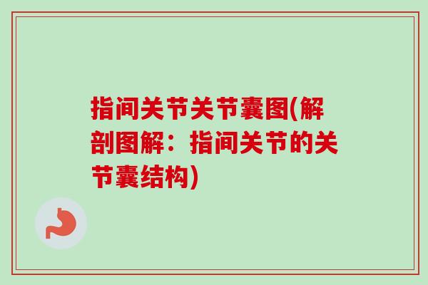 指间关节关节囊图(解剖图解：指间关节的关节囊结构)