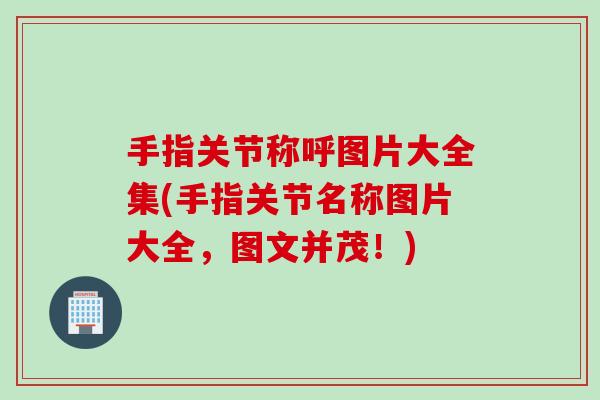 手指关节称呼图片大全集(手指关节名称图片大全，图文并茂！)