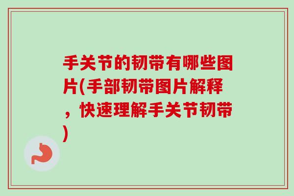 手关节的韧带有哪些图片(手部韧带图片解释，快速理解手关节韧带)