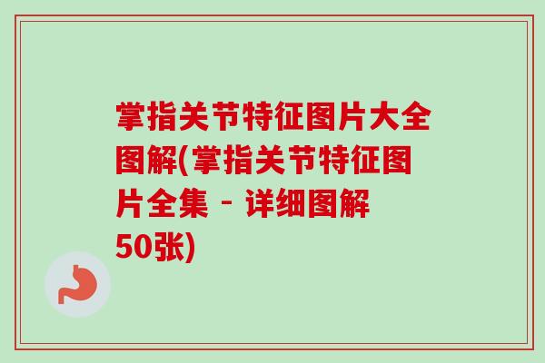 掌指关节特征图片大全图解(掌指关节特征图片全集 - 详细图解50张)