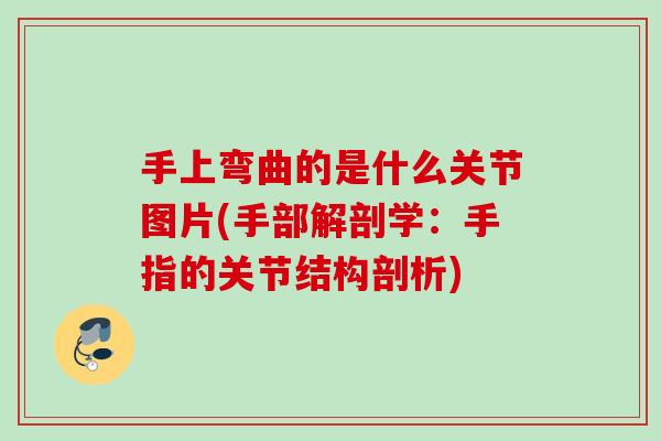 手上弯曲的是什么关节图片(手部解剖学：手指的关节结构剖析)