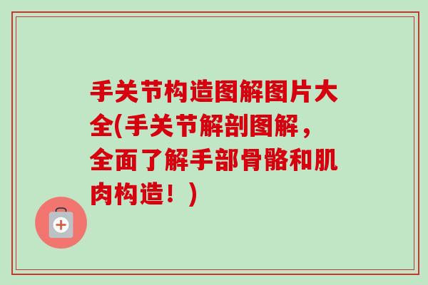 手关节构造图解图片大全(手关节解剖图解，全面了解手部骨骼和肌肉构造！)