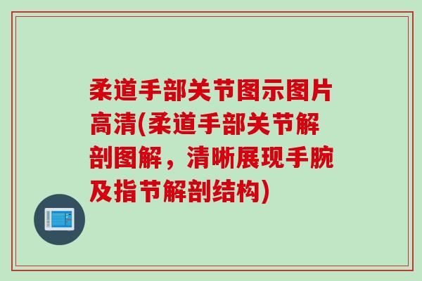 柔道手部关节图示图片高清(柔道手部关节解剖图解，清晰展现手腕及指节解剖结构)