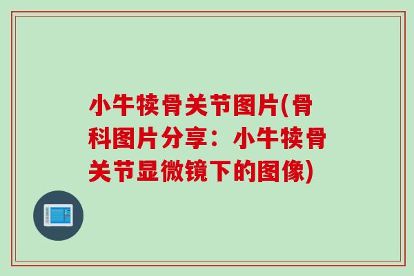 小牛犊骨关节图片(骨科图片分享：小牛犊骨关节显微镜下的图像)