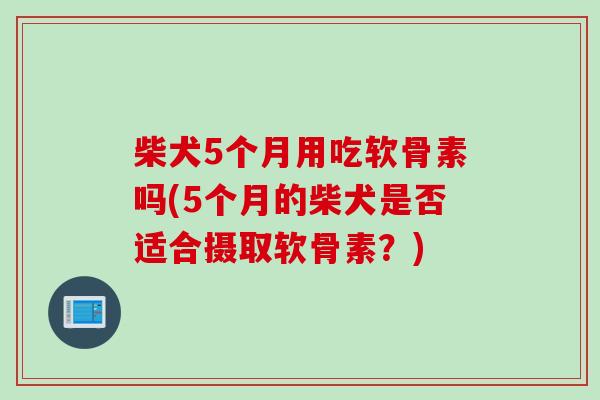 柴犬5个月用吃软骨素吗(5个月的柴犬是否适合摄取软骨素？)