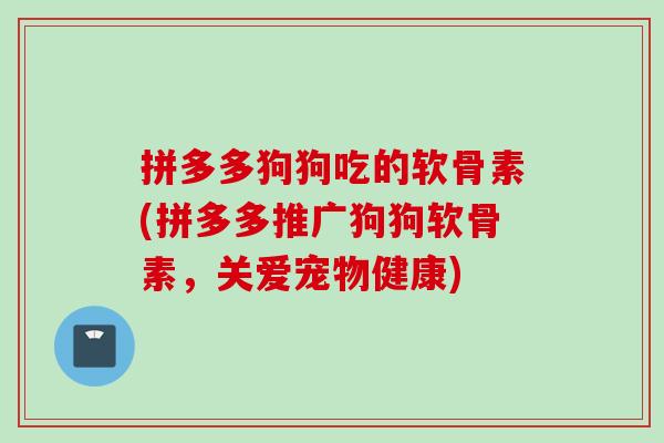 拼多多狗狗吃的软骨素(拼多多推广狗狗软骨素，关爱宠物健康)
