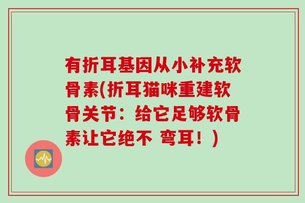有折耳基因从小补充软骨素(折耳猫咪重建软骨关节：给它足够软骨素让它绝不 弯耳！)
