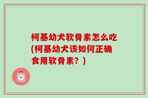 柯基幼犬软骨素怎么吃(柯基幼犬该如何正确食用软骨素？)