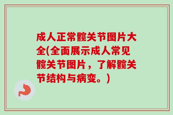 成人正常髋关节图片大全(全面展示成人常见髋关节图片，了解髋关节结构与病变。)