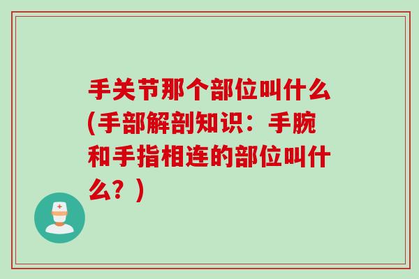 手关节那个部位叫什么(手部解剖知识：手腕和手指相连的部位叫什么？)