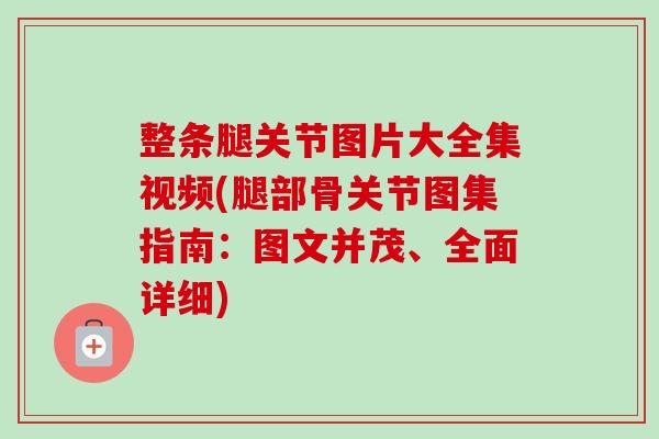 整条腿关节图片大全集视频(腿部骨关节图集指南：图文并茂、全面详细)
