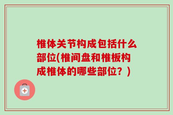 椎体关节构成包括什么部位(椎间盘和椎板构成椎体的哪些部位？)
