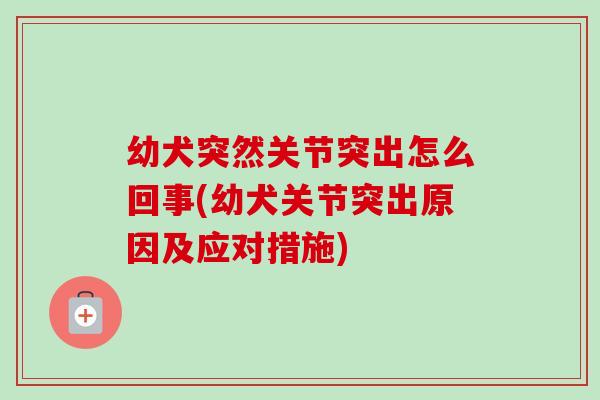 幼犬突然关节突出怎么回事(幼犬关节突出原因及应对措施)