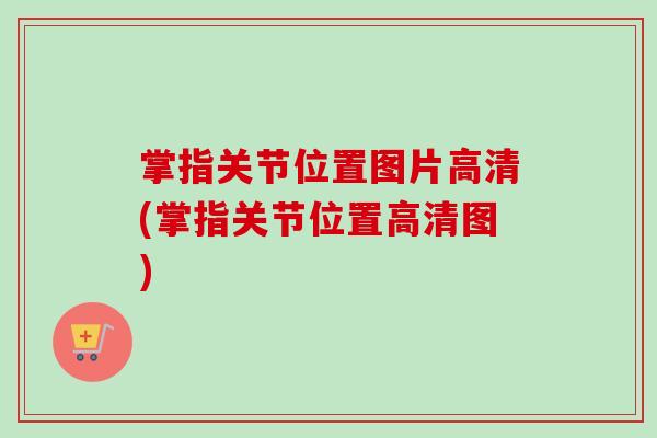 掌指关节位置图片高清(掌指关节位置高清图)