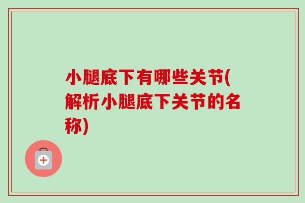 小腿底下有哪些关节(解析小腿底下关节的名称)