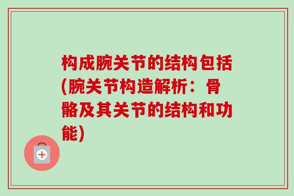 构成腕关节的结构包括(腕关节构造解析：骨骼及其关节的结构和功能)
