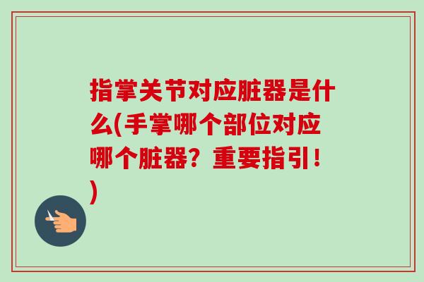 指掌关节对应脏器是什么(手掌哪个部位对应哪个脏器？重要指引！)