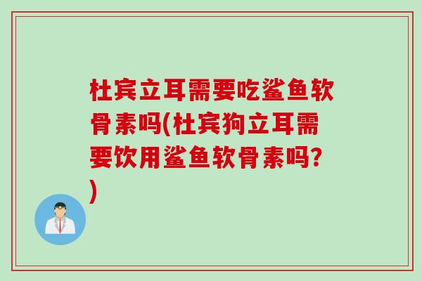 杜宾立耳需要吃鲨鱼软骨素吗(杜宾狗立耳需要饮用鲨鱼软骨素吗？)