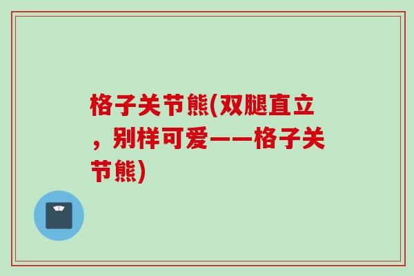 格子关节熊(双腿直立，别样可爱——格子关节熊)