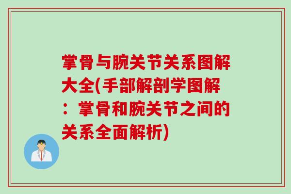 掌骨与腕关节关系图解大全(手部解剖学图解：掌骨和腕关节之间的关系全面解析)