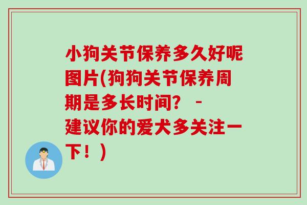 小狗关节保养多久好呢图片(狗狗关节保养周期是多长时间？ - 建议你的爱犬多关注一下！)