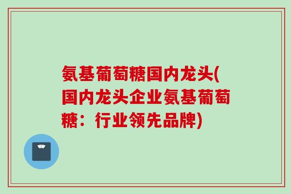 氨基葡萄糖国内龙头(国内龙头企业氨基葡萄糖：行业领先品牌)