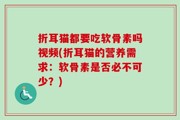 折耳猫都要吃软骨素吗视频(折耳猫的营养需求：软骨素是否必不可少？)