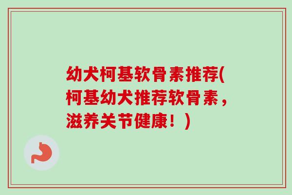 幼犬柯基软骨素推荐(柯基幼犬推荐软骨素，滋养关节健康！)