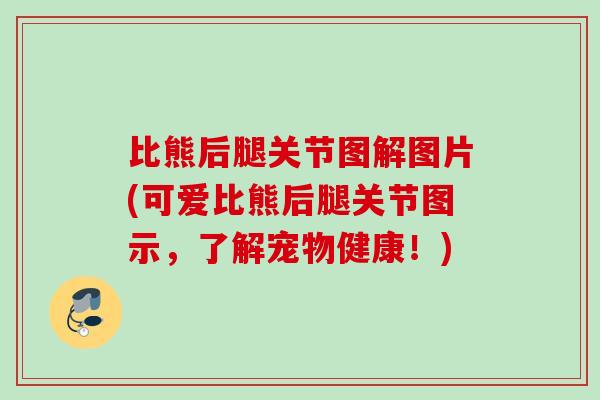 比熊后腿关节图解图片(可爱比熊后腿关节图示，了解宠物健康！)