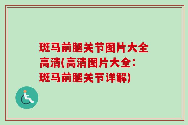 斑马前腿关节图片大全高清(高清图片大全：斑马前腿关节详解)