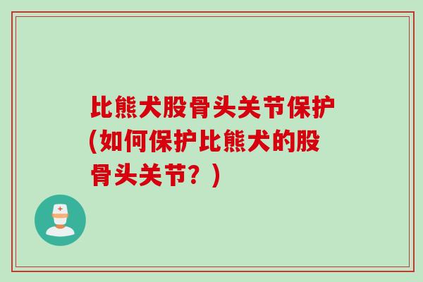 比熊犬股骨头关节保护(如何保护比熊犬的股骨头关节？)