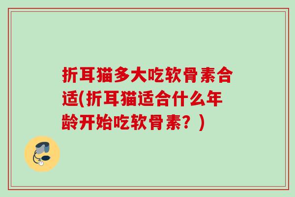 折耳猫多大吃软骨素合适(折耳猫适合什么年龄开始吃软骨素？)