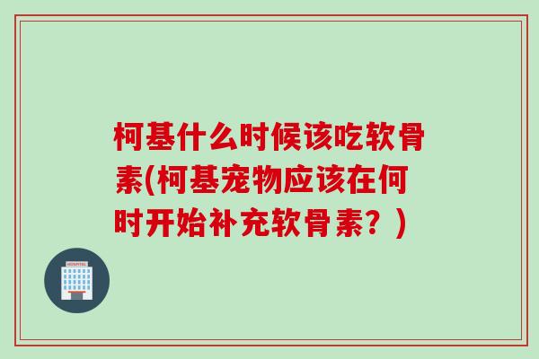 柯基什么时候该吃软骨素(柯基宠物应该在何时开始补充软骨素？)